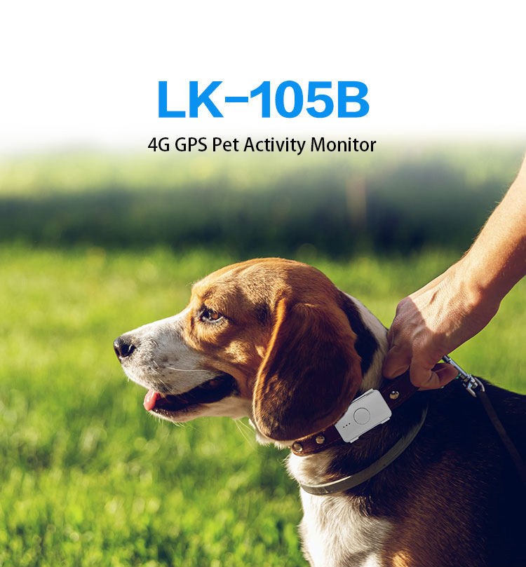 LK105B-4G--宠物英文_01.jpg