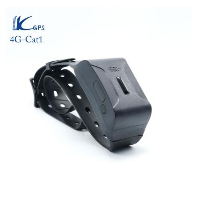 LK880-4G Cat1