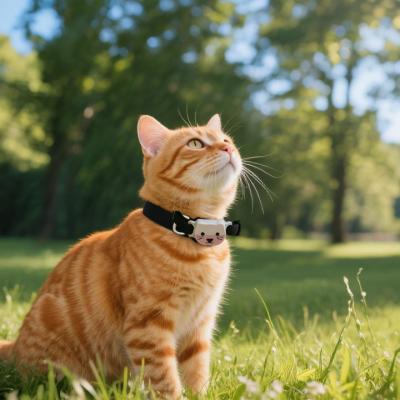 LK630 CatM Pet GPS Tracker