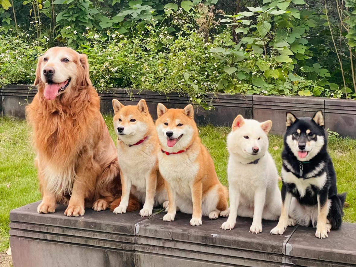 1756892056421284.jpg 微信图片_20250903172201.jpg